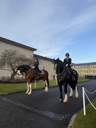 Horses from mounted unit